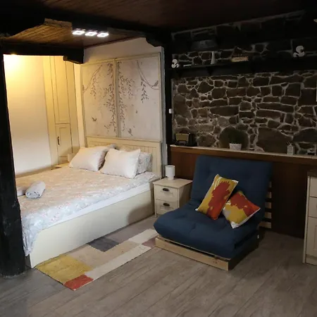 Guest house The Lion's 2*