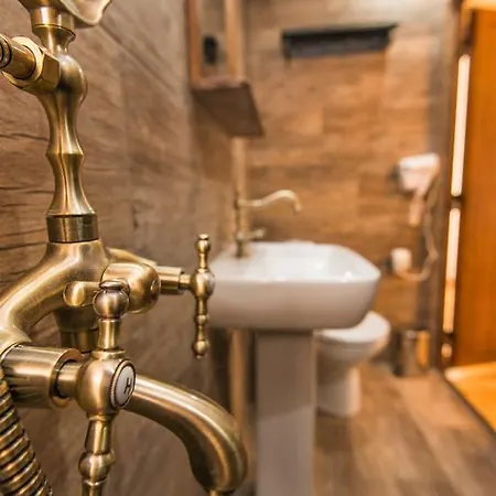 The Lion's Veliko Tărnovo