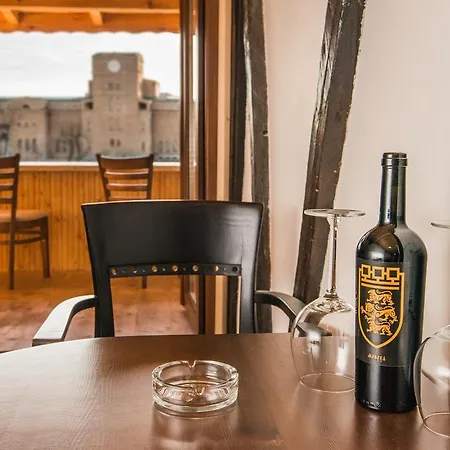 Guest house The Lion's