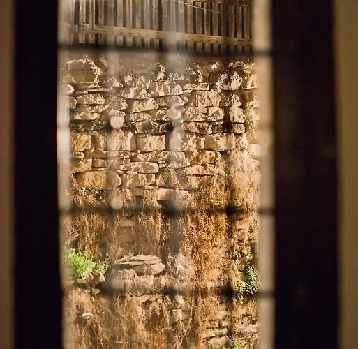 Pensiune The Lion's 4*