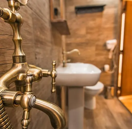 The Lion's Veliko Tărnovo