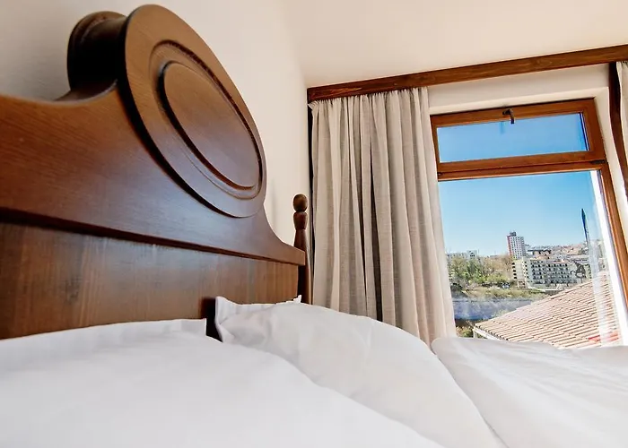 Pensiune The Lion's Veliko Tărnovo